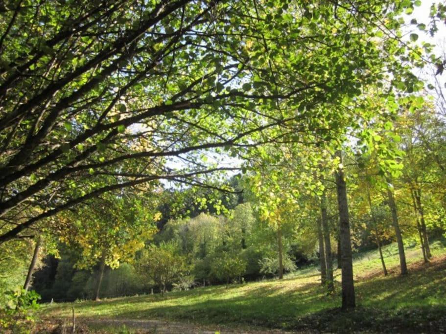 Gite Du Charpentier Vocance Exteriör bild